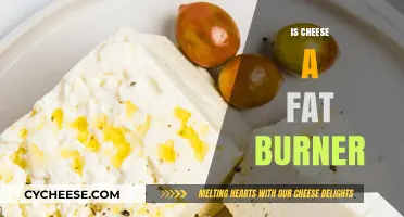 Can Cheese Boost Metabolism? Uncovering the Truth About Fat Burning