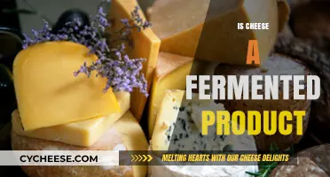 Is Cheese Fermented? Unveiling the Role of Fermentation in Cheese Making