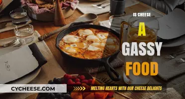 Does Cheese Cause Gas? Unraveling the Truth About Dairy and Bloating