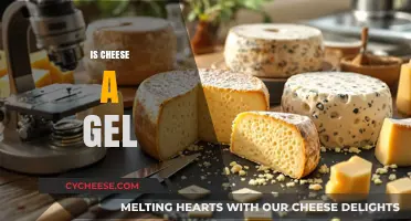 Is Cheese a Gel? Unraveling the Science Behind Dairy's Texture