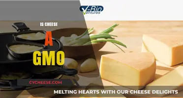 Is Cheese Genetically Modified? Unraveling the GMO Cheese Debate