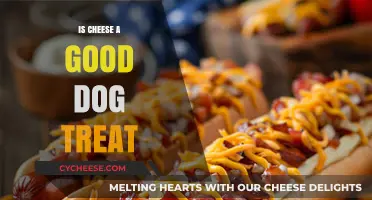 Cheese: Healthy Dog Treat or Not?