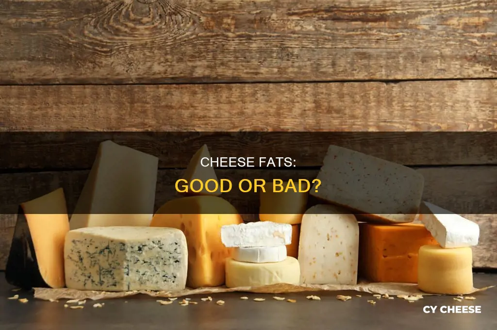 is cheese a good fat or bad fat