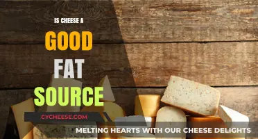 Cheese: Healthy Fats or Unhealthy Fats?
