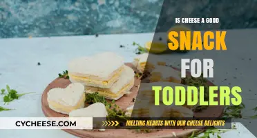 Cheese: A Healthy Snack Option for Toddlers?