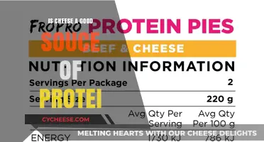 Cheese as a Protein Source: How Much is Enough?