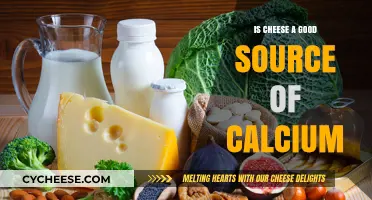 Is Cheese a Calcium Powerhouse? Unlocking Dairy's Nutritional Benefits