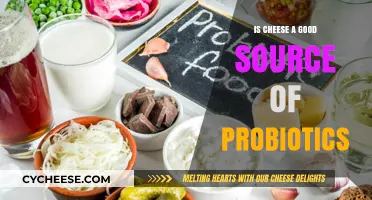 Cheese Probiotics: A Healthy Superfood?