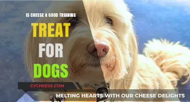 Cheese: A Healthy Dog Treat?