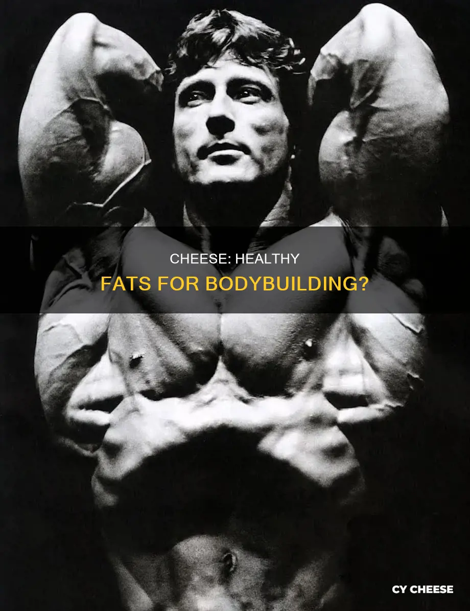 is cheese a healthy fat bodybuilding