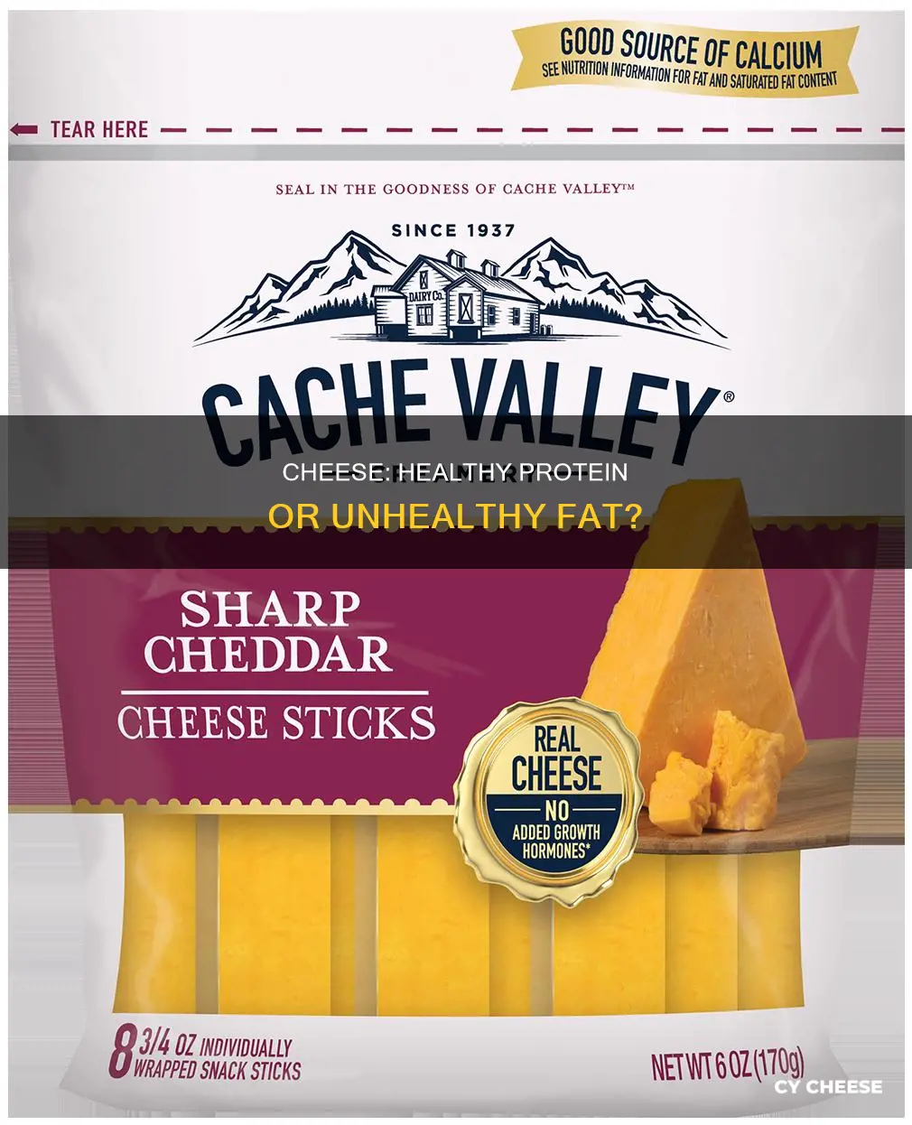 is cheese a healthy protein