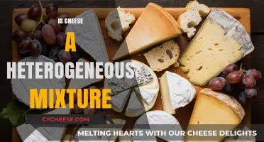 Is Cheese a Heterogeneous Mixture? Exploring Its Complex Composition