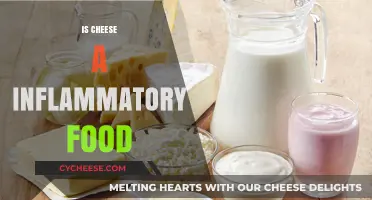 Is Cheese Inflammatory? Uncovering the Truth About Dairy and Inflammation