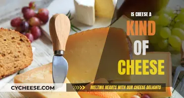 Cheese Classification: Is Cheese a Kind of Cheese?