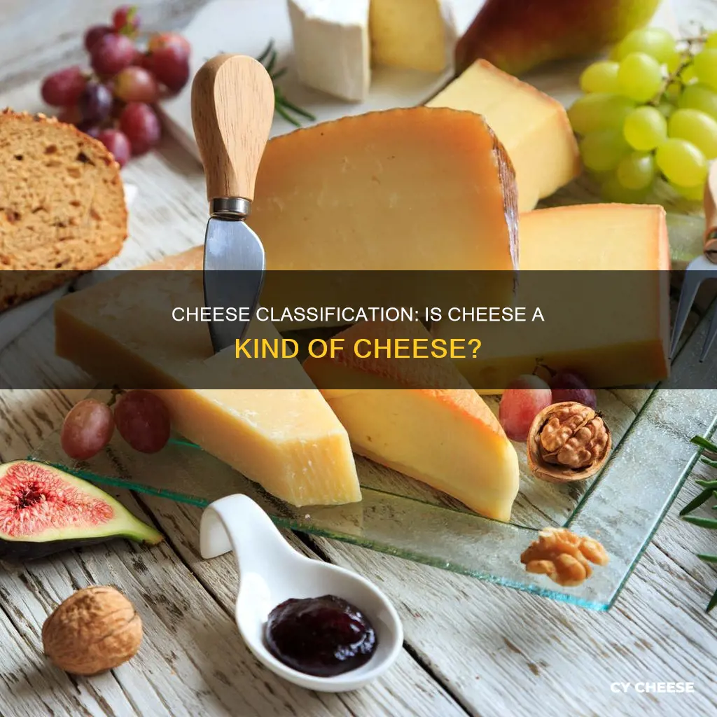 is cheese a kind of cheese