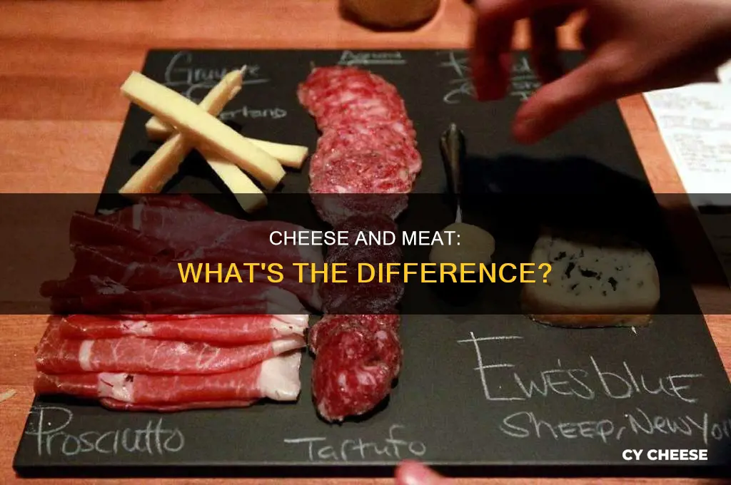 is cheese a kind of meat