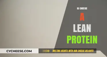 Is Cheese a Lean Protein? Unraveling the Nutritional Truth