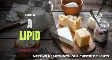 Is Cheese a Lipid? Unraveling the Nutritional Science Behind Dairy Fats