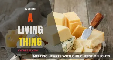 Is Cheese Alive? Exploring the Science Behind This Dairy Delight