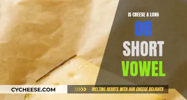 Cheese and Vowels: A Long and Short Guide