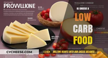 Cheese and Low-Carb Diets: What You Need to Know
