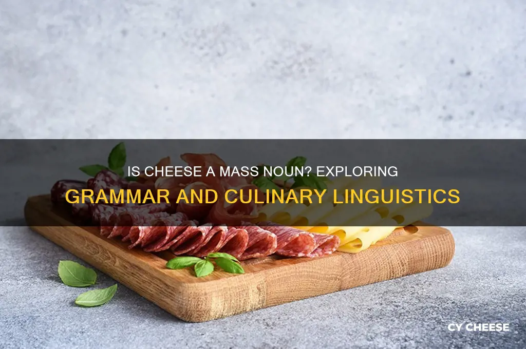 is cheese a mass noun