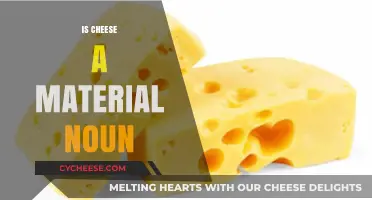 Is Cheese a Material Noun? Exploring Linguistic Classification and Usage