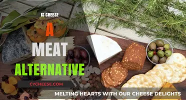 Is Cheese a Meat Alternative? Exploring Plant-Based Protein Options