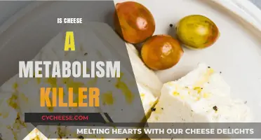 Cheese and Metabolism: Separating Fact from Fiction in Weight Loss