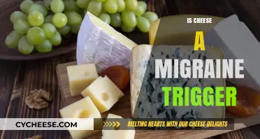 Cheese and Migraines: Unraveling the Trigger Mystery for Relief