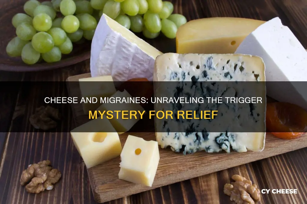 is cheese a migraine trigger