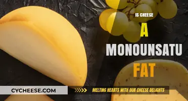 Is Cheese a Monounsaturated Fat? Unraveling the Dairy Mystery