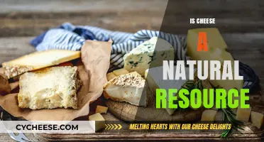 Is Cheese a Natural Resource? Exploring Its Origins and Sustainability