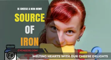 Is Cheese a Non-Heme Iron Source? Unraveling the Dairy Mystery