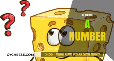 Is Cheese a Number? Unraveling the Hilarious Confusion Behind the Question