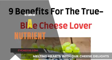 Is Cheese a Nutrient? Uncovering Its Health Benefits and Drawbacks