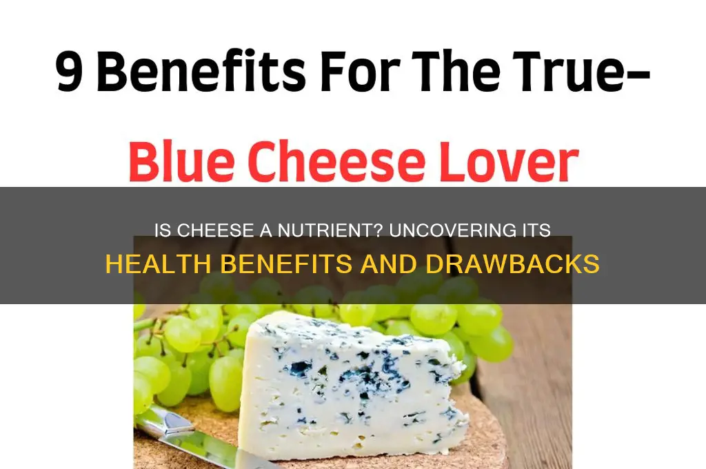 is cheese a nutrient