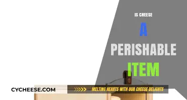 Is Cheese Perishable? Understanding Its Shelf Life and Storage Tips