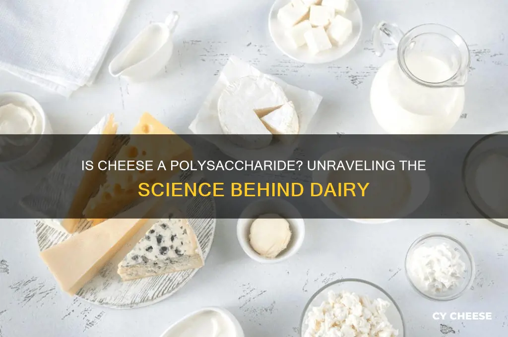 is cheese a polysaccharide
