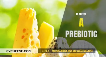 Is Cheese a Prebiotic? Unlocking Gut Health Benefits Explained