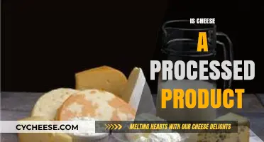 Is Cheese Processed? Unraveling the Truth Behind Your Favorite Dairy