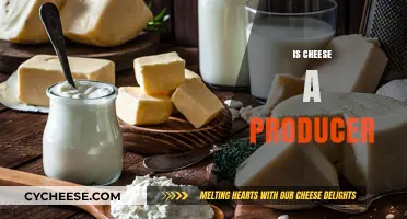 Is Cheese a Producer? Unraveling the Role of Dairy in Food Chains