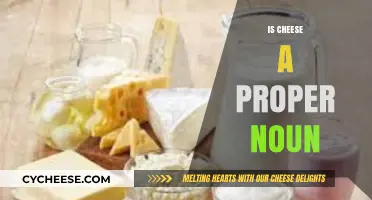 Is Cheese a Proper Noun? Exploring Grammar and Dairy Delights