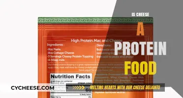 Is Cheese a Protein Food? Uncovering Its Nutritional Value and Benefits