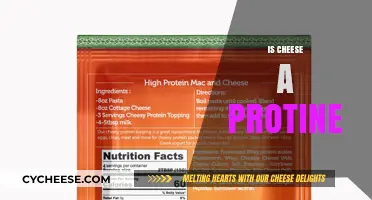 Is Cheese a Protein? Unraveling the Nutritional Truth About Dairy