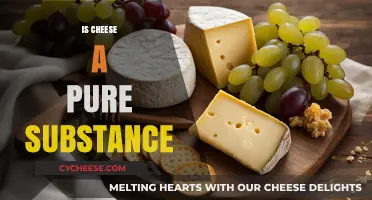 Is Cheese a Pure Substance? Unraveling the Dairy Mystery