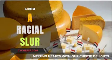 Is Cheese a Racial Slur? Unraveling the Controversial Claim