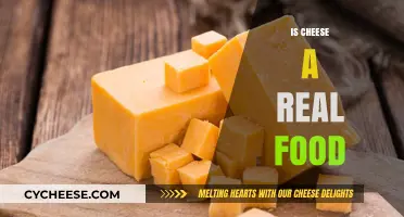 Is Cheese a Real Food? Debunking Myths and Nutritional Facts