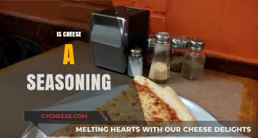 Is Cheese a Seasoning? Debunking the Culinary Classification Debate
