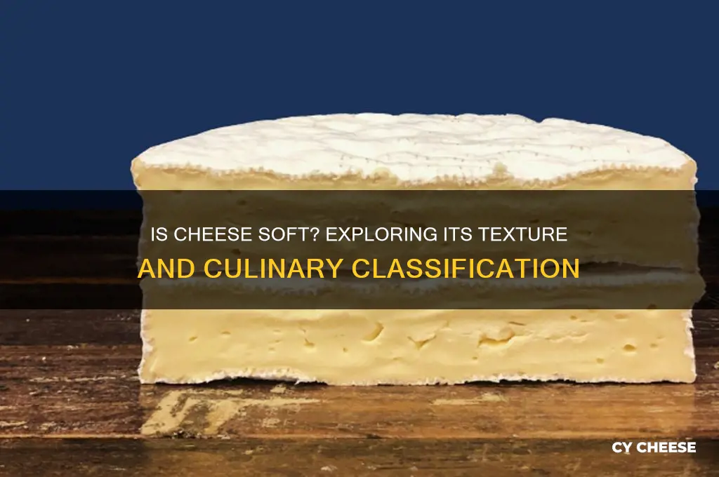is cheese a soft food